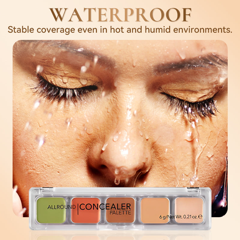 Long-Wear 5-Color Concealer Palette for a Flawless Finish